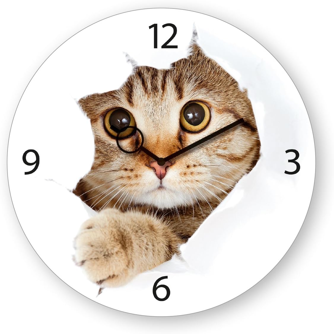 Platin Art Time Wall Clock, Come Kitty!