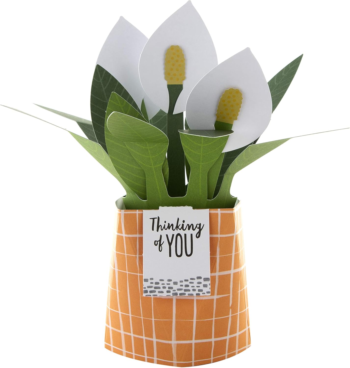 Hallmark Pop Up Card - Contemporary Peace Lily Plant Design, Thinking Of You 3D Lily - Image 3