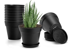 6 inch Plastic Plant Pots with Drainage Holes and Tray, 10 Pack Thickened Indoor Planters Seedlings Nursery Pots for Flowers,