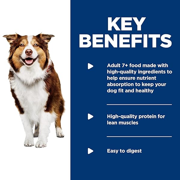 HILL’S SCIENCE DIET ADULT 7+, SENIOR ADULT 7+ PREMIUM NUTRITION, WET DOG FOOD, VARIETY PACK: CHICKEN & BARLEY; BEEF & BARLEY LOAF, 13 OZ CAN VARIETY PACK, CASE OF 12