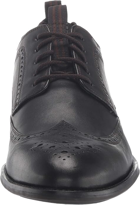holland long wing oxford
