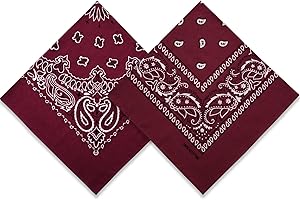 2 Pack Types of Paisley Pattern Bandanas, 22x22 Inches Cotton Bandanas Handkerchief Face Mask for Men & Women
