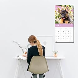 July 2025- December 2026 Wall Calendar 18 Month