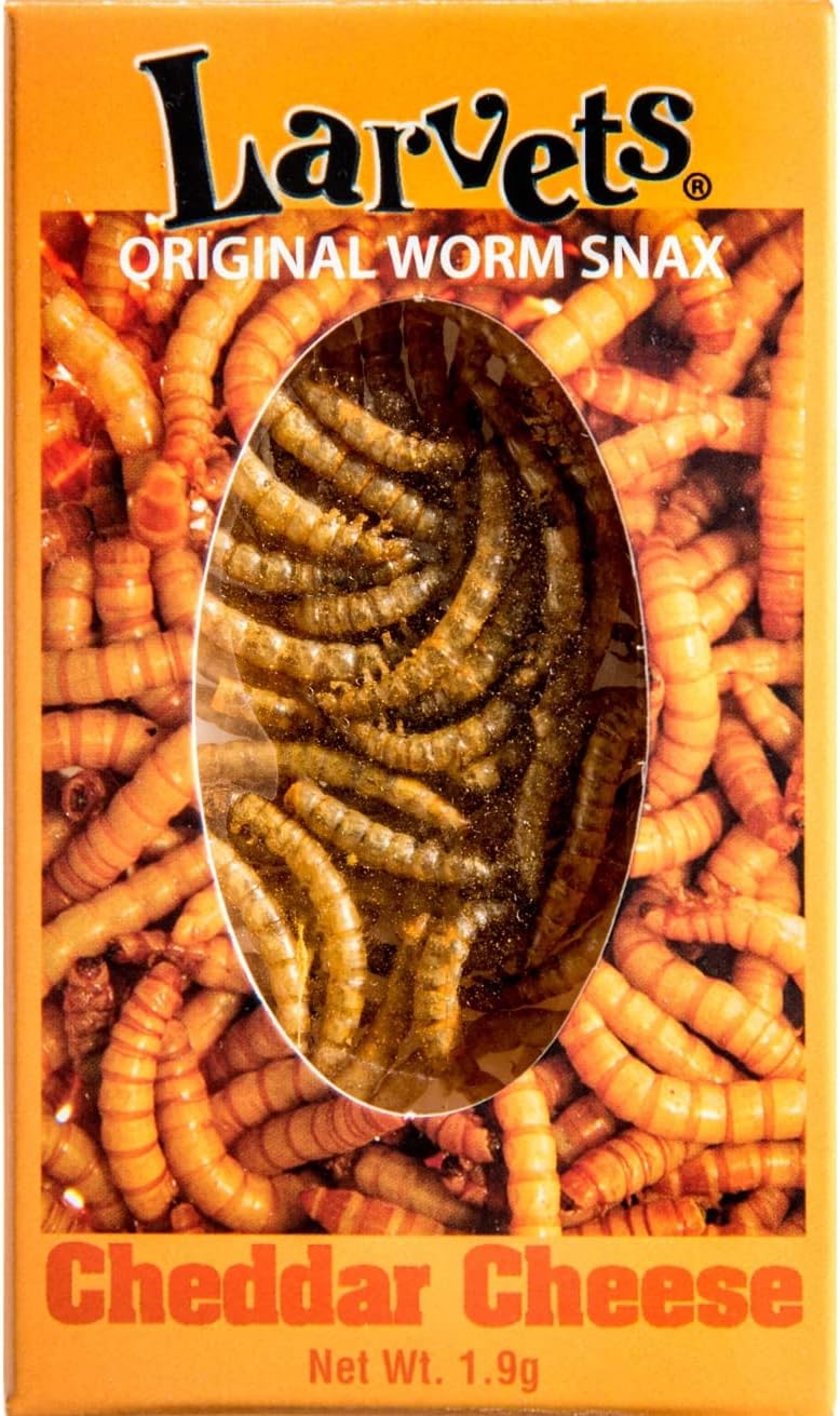Mixed Media - BicBugs SUPERWORMS larvets cheddar cheese flavor! edible insects bred for human consumption