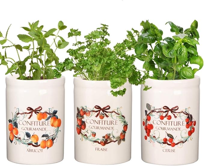 Dibor Indoor Herb Garden Set of 3 Window Box Herb Planters Amazon.co
