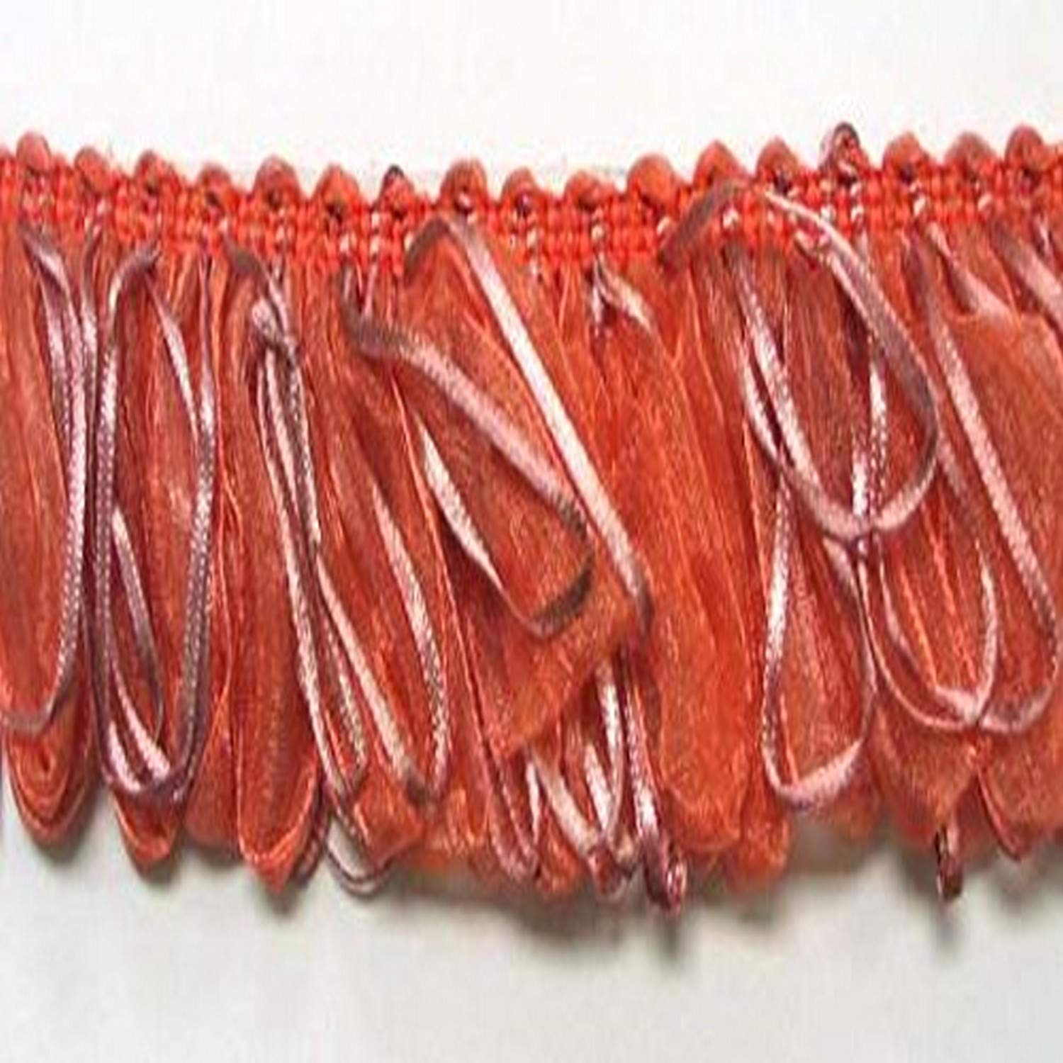 Expo International Loop Ribbon Fringe Trim, 10 yd, Salmon/Multicolor