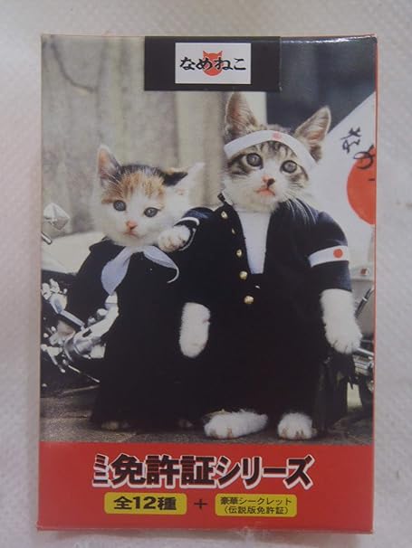 Amazon なめ猫 パロディーカード なめんなよ なめねこ 箱入りバージョン 井上ニャー水 カードゲーム トランプ おもちゃ