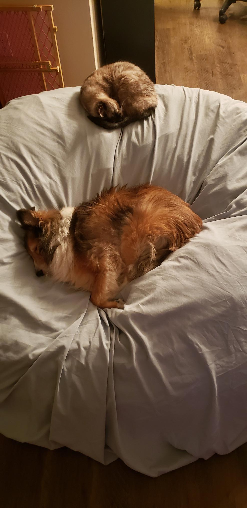 33/mo Finance CordaRoy's Corduroy Bean Bag Chair, Convertible Chair Folds from Bean Bag to