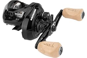 KastKing Megatron 200 Baitcasting Fishing Reel, Wide Spool High Line Capacity Casting Reel, 7+1 Double Shielded Stainless Ste
