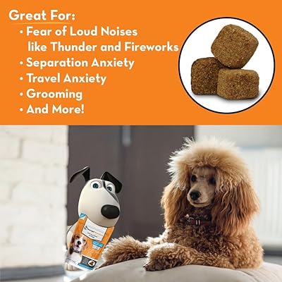 thunder wonder calming chews