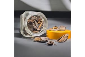 Cambodi Oudh Bakhoor Incense by Northern Scent, Agarwood Chips, Black, 30 gm Jar