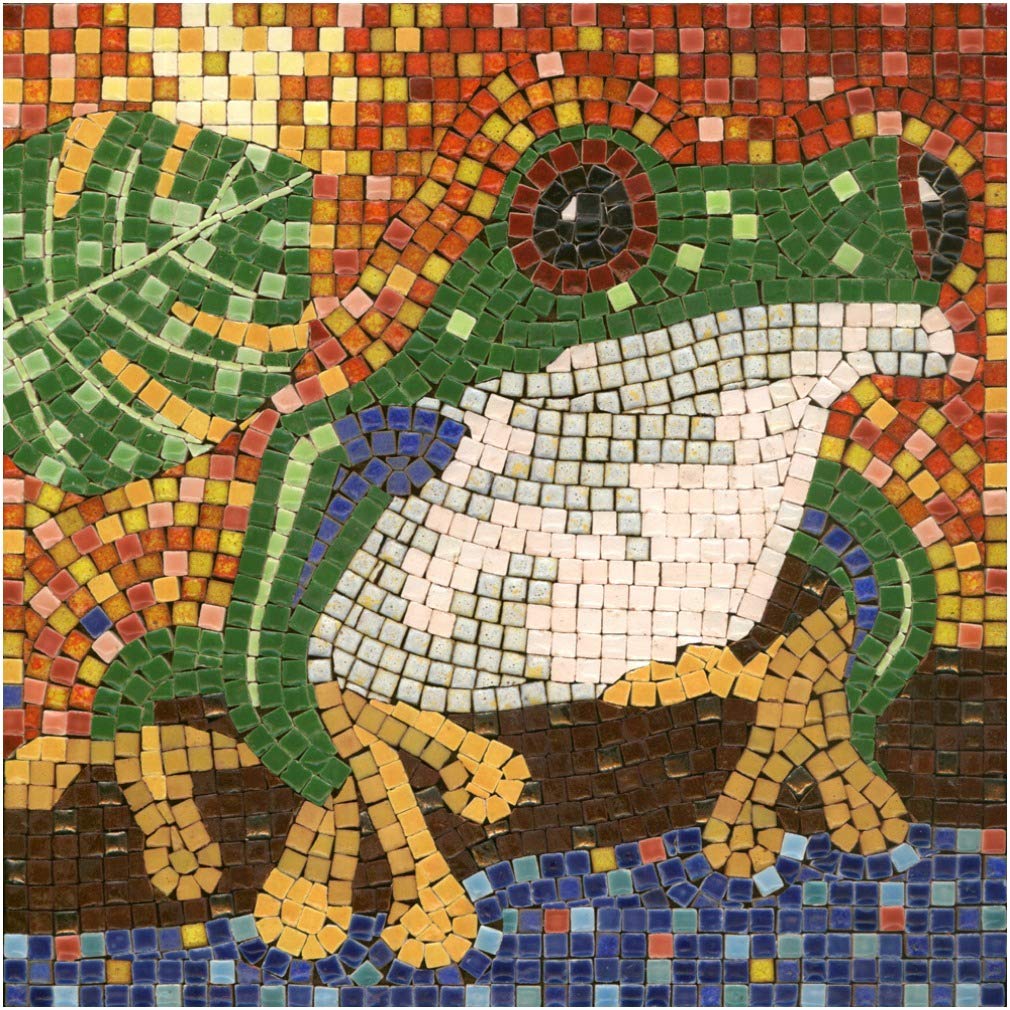 DIY Mosaic Art Kit Square 7inch 20cm Frog — image 1