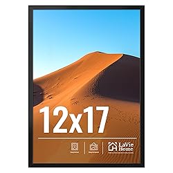 LaVie Home 12x17 Picture Frame for Wall