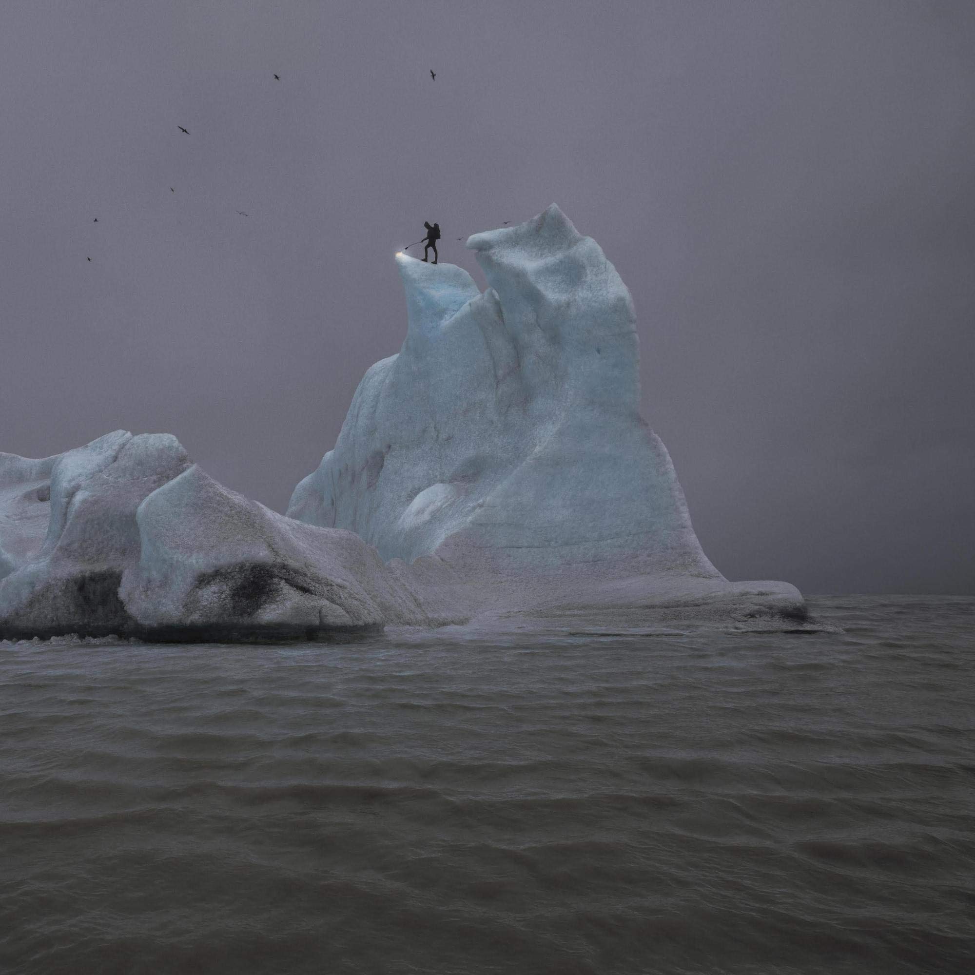 Accelerate Every Voice | amzdealz