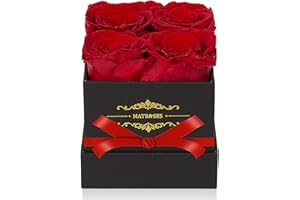 NATROSES Red Preserved Roses in a Box That Last Up to 3 Years, Long Lasting Roses Gifts for Her,Valentines Day Gifts, (Red)