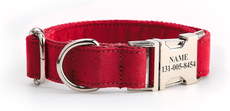 amazon dog collar with name