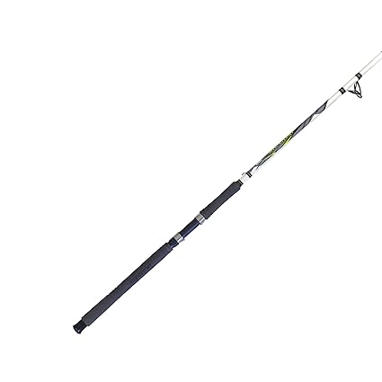 zebco big cat xt rod