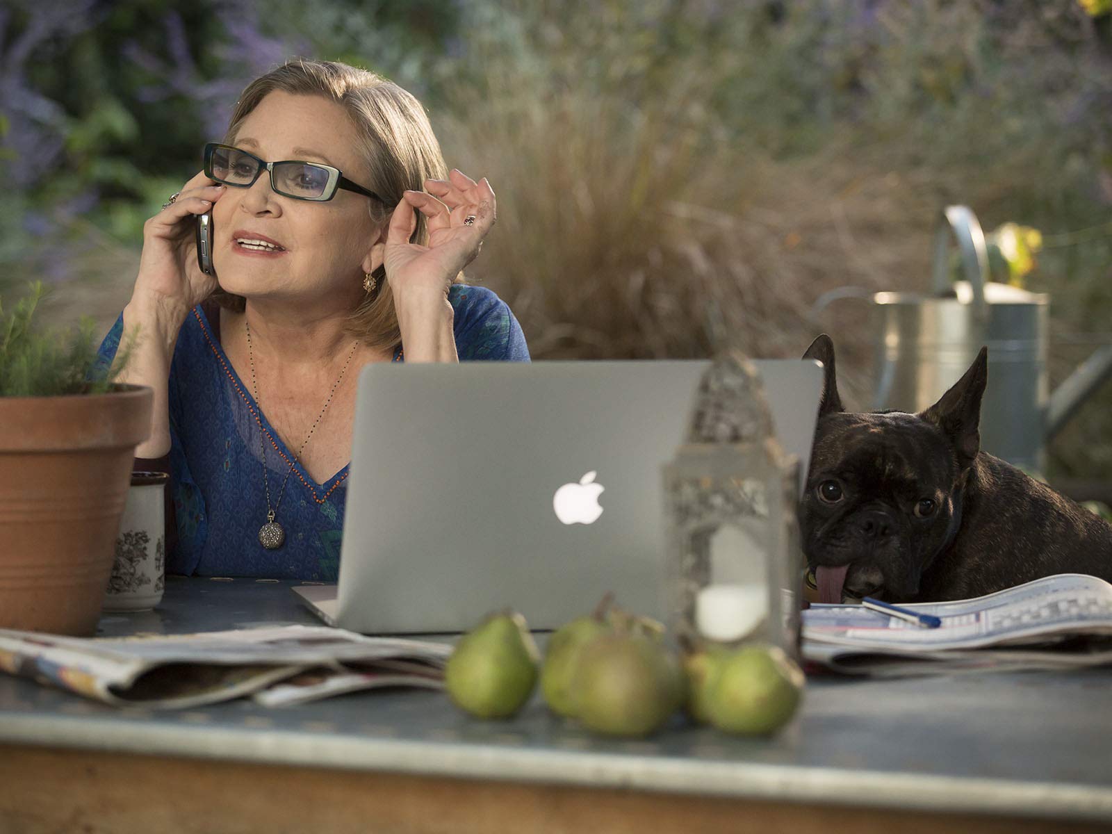 Watch Catastrophe Season 2 Prime Video