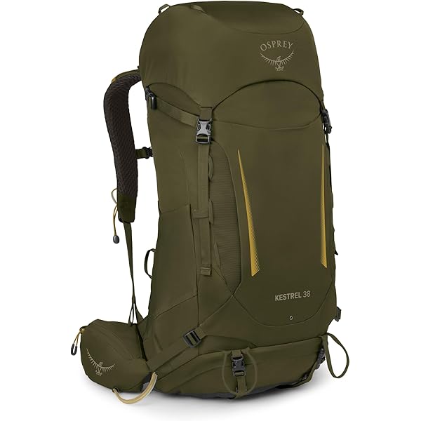 45l backpack patagonia Black Hole MLC 45L Patagonia Black