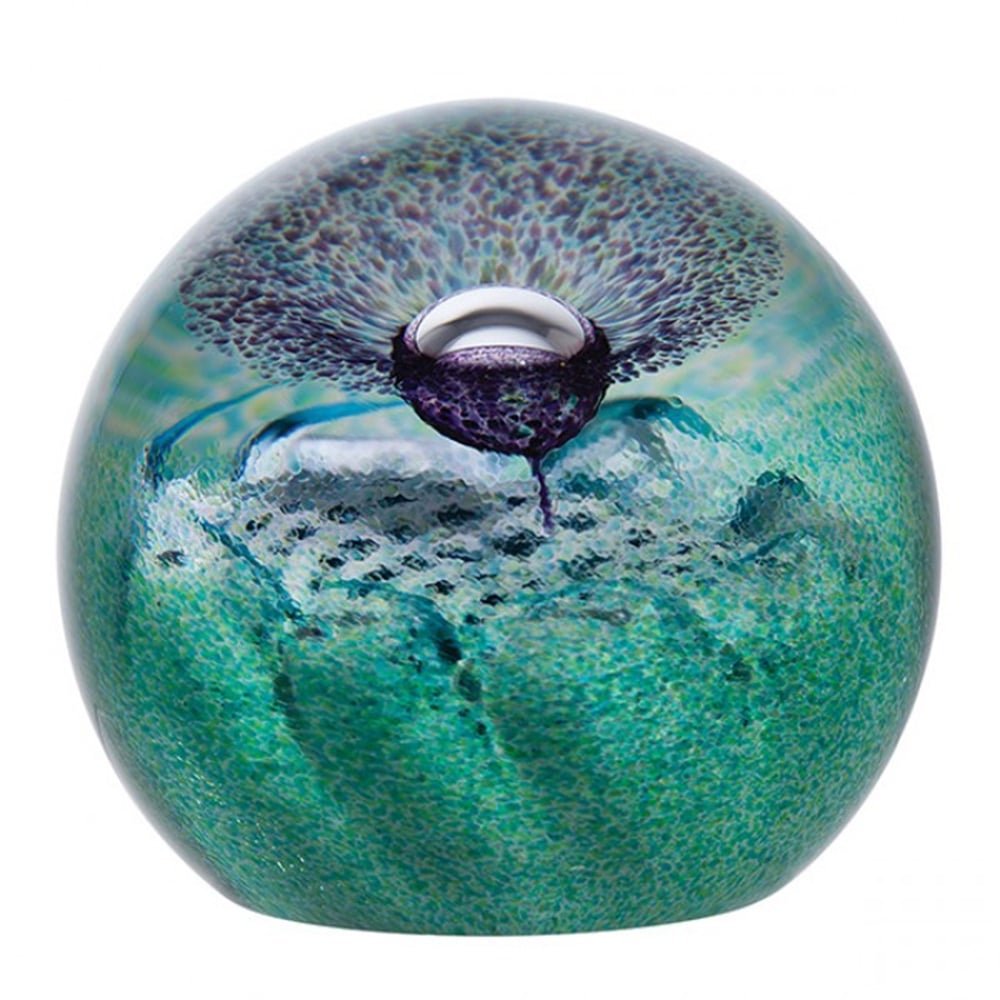 Caithness Glass Flower of Scotland Paperweight | Green & Purple | 80mm x 80mm | Handcrafted in Scotland | A thoughtful gift or to be displayed as a commemorative piece| Ornamental | Gift Boxed