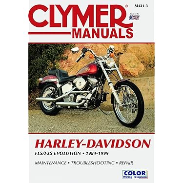 洋書 The Big Book of Biker Flicks THE BIG BOOK OF BIKER