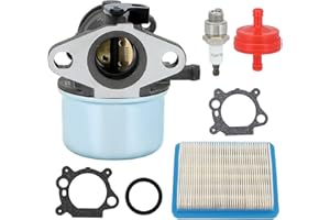 Wellsking 497314 799868 Carburetor for Briggs and Stratton 14111 498170 497314 497586 498254 498255 498966 Craftsman 625 6150 Engine with 491588s Air filter Tune Up Kits
