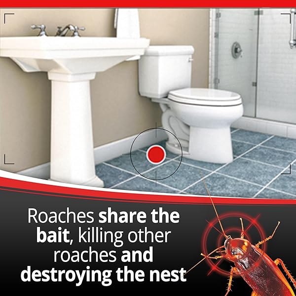 COMBAT MAX LARGE ROACH KILLING BAIT, 8 COUNT (PACK OF 1)