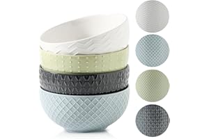 HASENSE Ceramic Cereal Bowls Set of 4, 26 OZ Soup Bowls, Embossed Stoneware Porcelain Bowls for Cereal, Soup, Oatmeal, Salad,