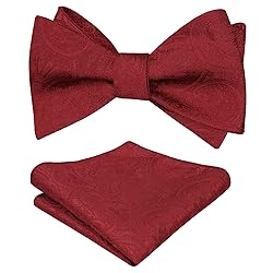 Alizeal Men's Paisley Jacquard Tuxedo Self Bow Tie