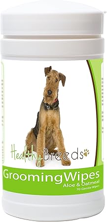 airedale grooming