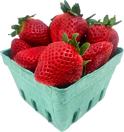 Amazon Com Quart Green Fiber Fruit Berry Basket Container 25 Pack For Strawberry Blueberries Tomatoes And Produce Kitchen Dining