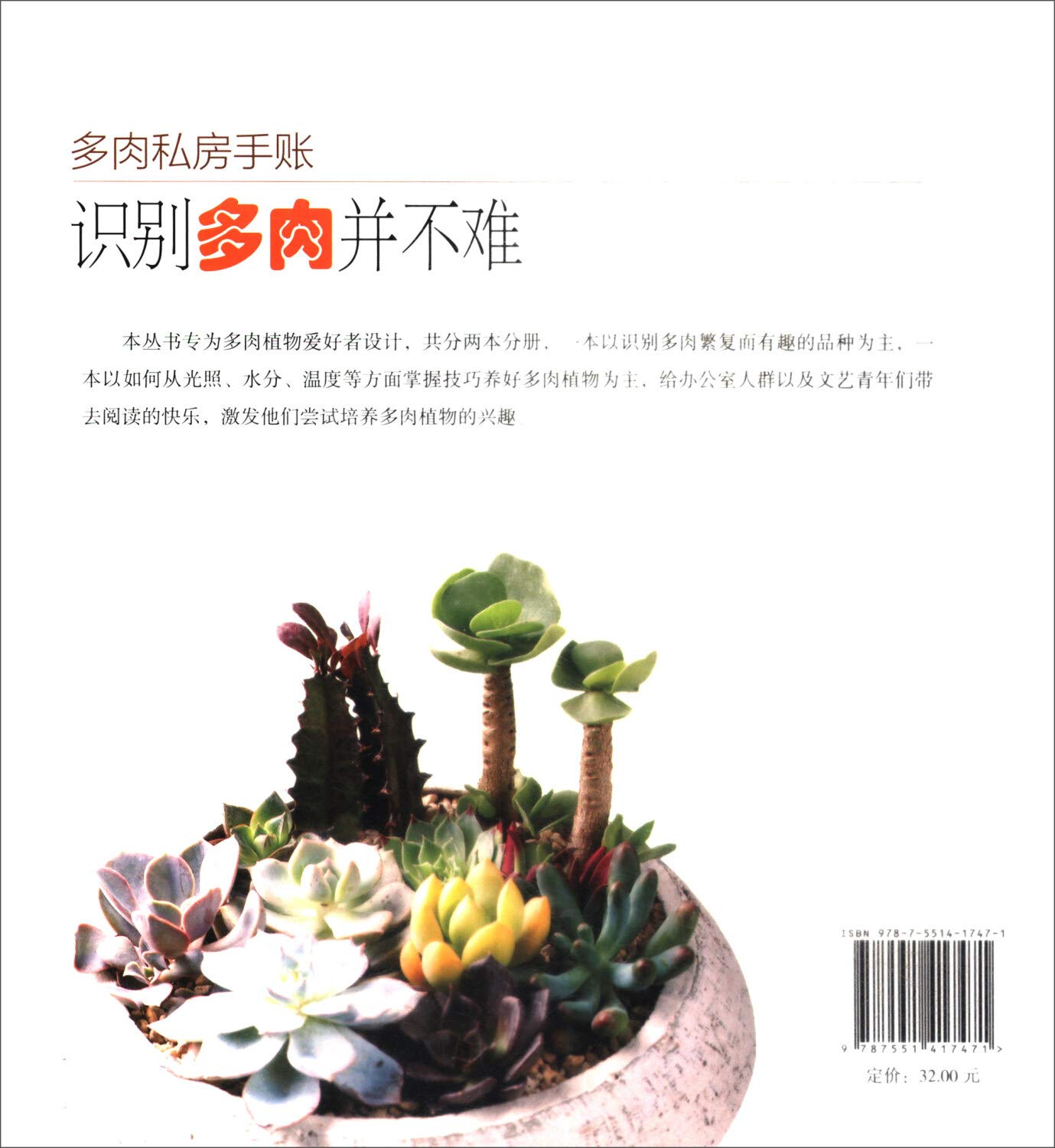 多肉私房手账 识别多肉并不难 Amazon Co Uk 慢生活工坊 Books