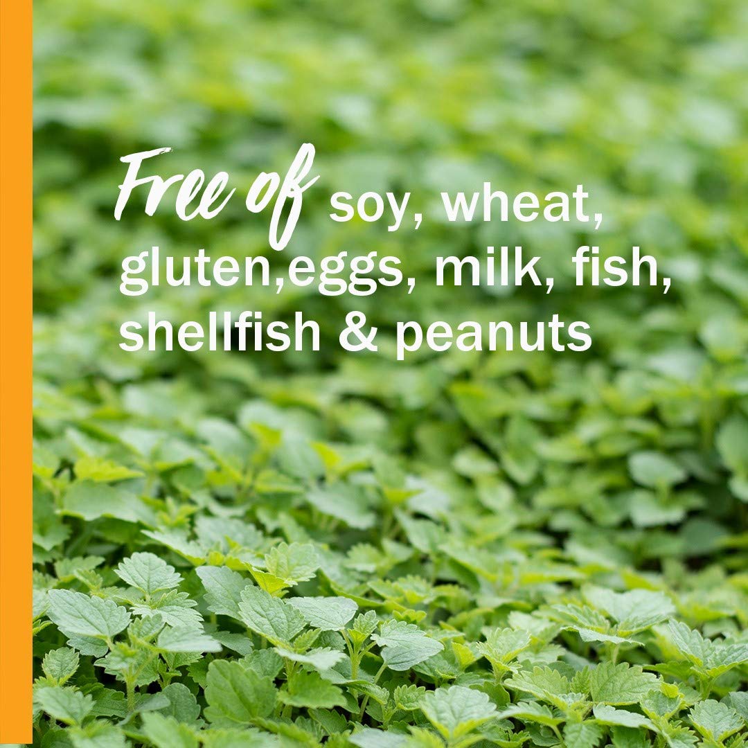 Herb Pharm Kids AlcoholFree Tummy TLC Liquid Herbal