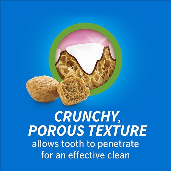 PURINA DENTALIFE MADE IN USA FACILITIES CAT DENTAL TREATS, TASTY CHICKEN FLAVOR – 19 OZ. POUCH