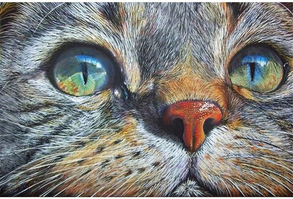 Diy Oil Painting, Adult's Paint By Number Kits, Acrylic Painting,Cute Cat,16X20 Inch