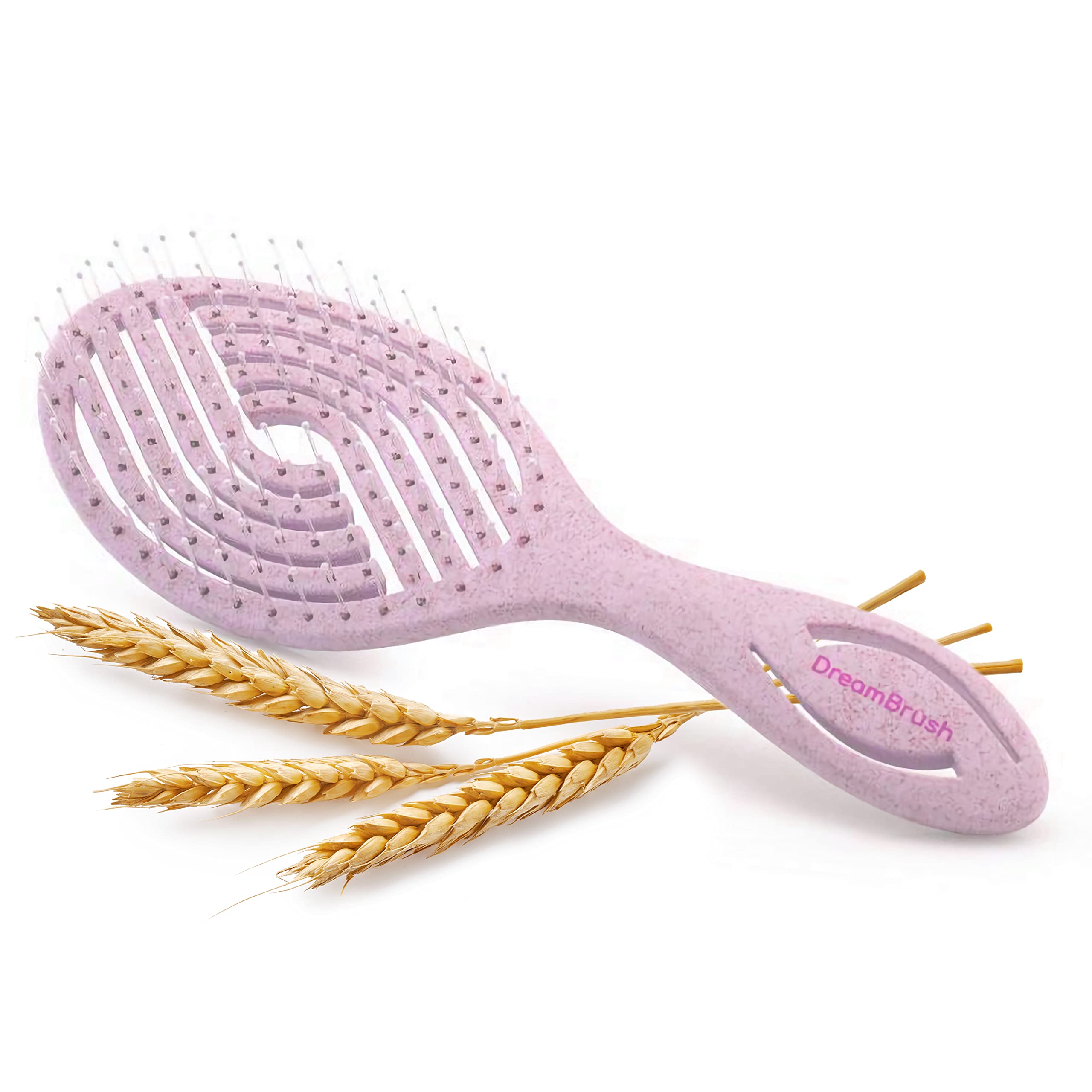 DreamBrush