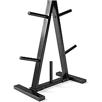 Lot De 2 Plaques De Poids CAP Standard 1 Pouce – 10 Lb Chaque (20 Lb Total) – Fitness Gear Neuf