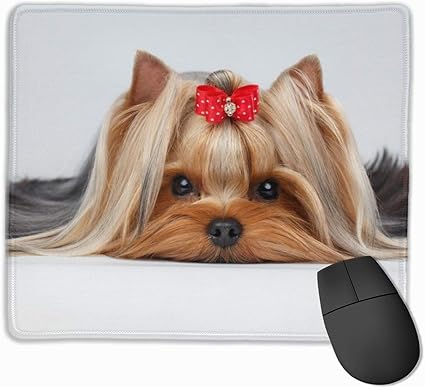 Amazon マウスパッド 可愛い ヨークシャーテリア 犬柄 高級感 おしゃれ 防水 耐久性が良い 滑り止めゴム底 ゲーミングなど適用 30 25 0 5cm マウスパッド 愛チア マウスパッド 通販