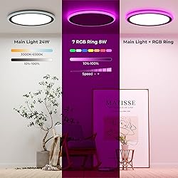 BLNAN RGB Led Flush Mount Ceiling Light with Remote