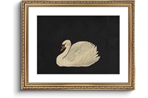 VIYYIEA Gold Framed Wall Art Canvas Print Home Decor Wall Decorations Grace Swan Art Painting Pictures Rustic Bathroom Wall Decor Farmhouse Wall Decor for Living Room Bedroom Office Decor 16x20in