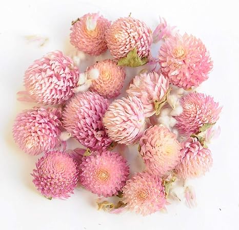 Amazon 訳あり ドライフラワー 全2種 5 8g 千日紅 デコ素材 通販