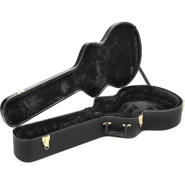 Amazon.com: Ibanez PF50C Dreadnought Hard Shell Case for PF