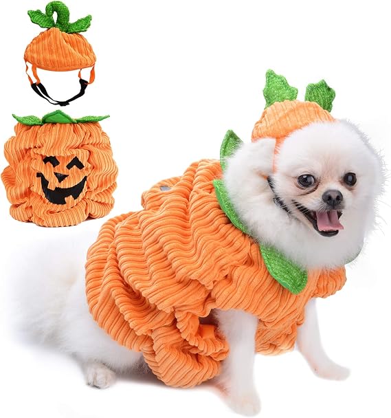 Cappello di Zucca/Creativi Divertenti Costumi di Halloween per i Cani  Halloween Festa di Pasqua Dress Up Legendog Costume di Halloween per Cani  Costumi Abbigliamento e accessori outlookplanningdevelopment.com.au