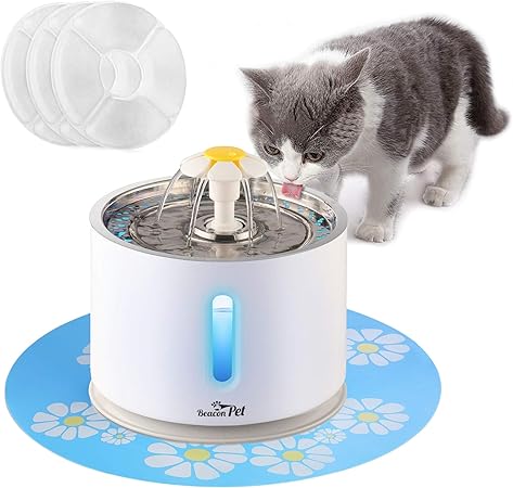 amazon cat fountain filters