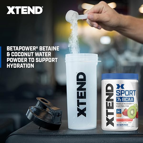 XTEND SPORT BCAA POWDER STRAWBERRY KIWI SPLASH – ELECTROLYTE POWDER FOR RECOVERY & HYDRATION WITH AMINO ACIDS – 30 SERVINGS