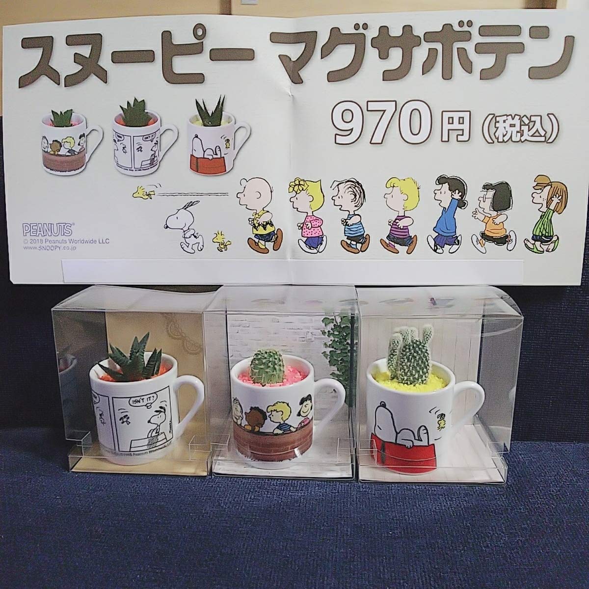 500以上のトップ画像をダウンロード スヌーピー サボテン