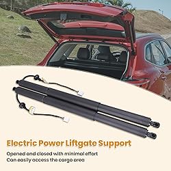 Hodflop 68910-0E070 68920-0E050 Pair Rear Tailgate