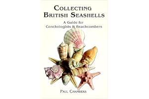 British Seashells: A Guide for Collectors and Beachcombers