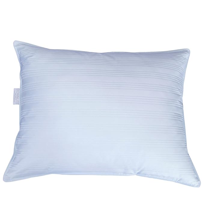 The 10 Best Down Pillows In 2021 Reviewed and Compared HomePlix