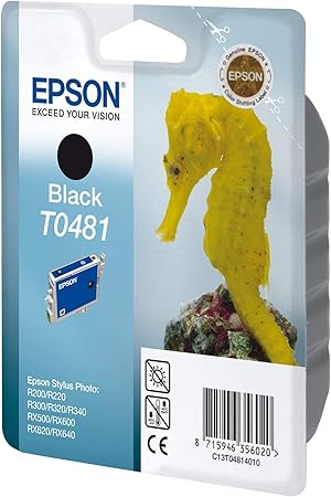 epson stylus photo r300 ink cartridges